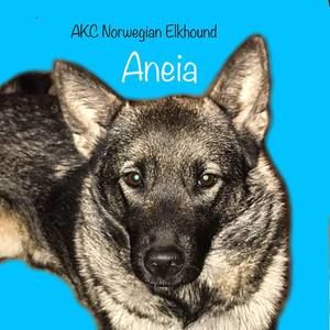 Meet your Posher, Lorie